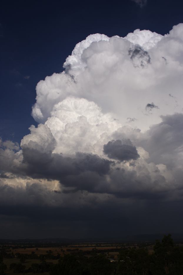 thunderstorm cumulonimbus_incus : Gulgong, NSW   20 February 2006