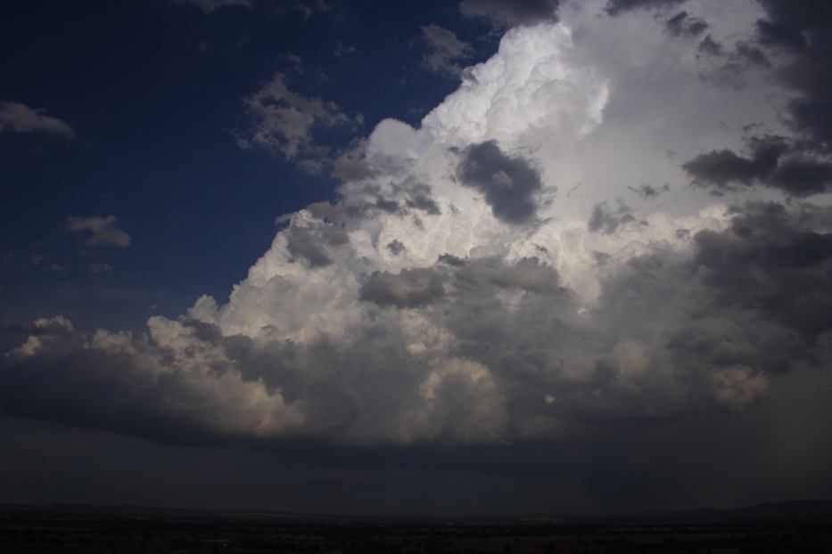 thunderstorm cumulonimbus_incus : Gulgong, NSW   20 February 2006