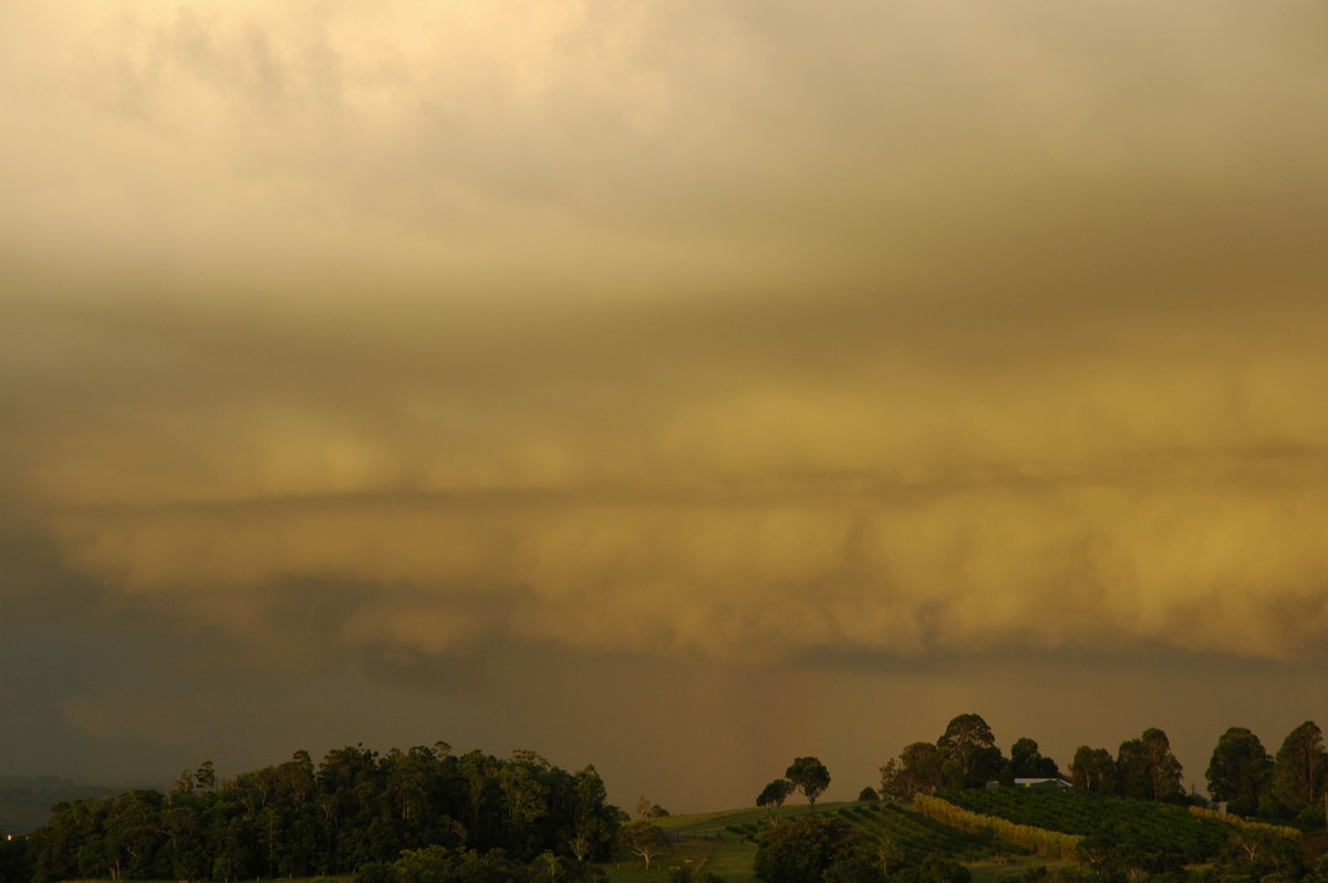 sunset sunset_pictures : McLeans Ridges, NSW   21 February 2006