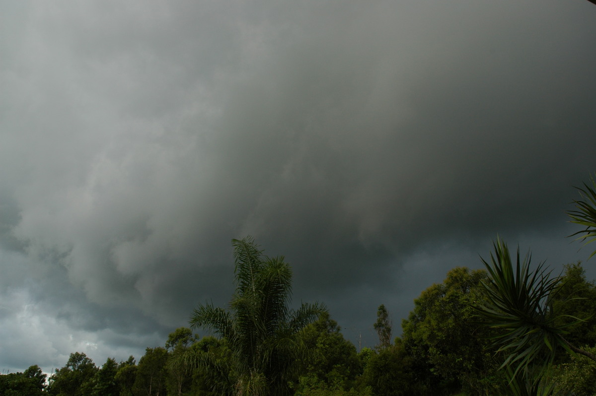 cumulonimbus thunderstorm_base : McLeans Ridges, NSW   24 February 2006