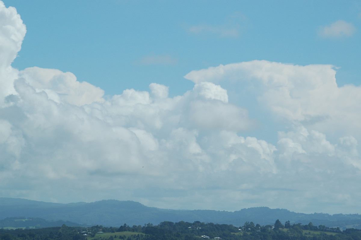 cumulus congestus : McLeans Ridges, NSW   26 February 2006
