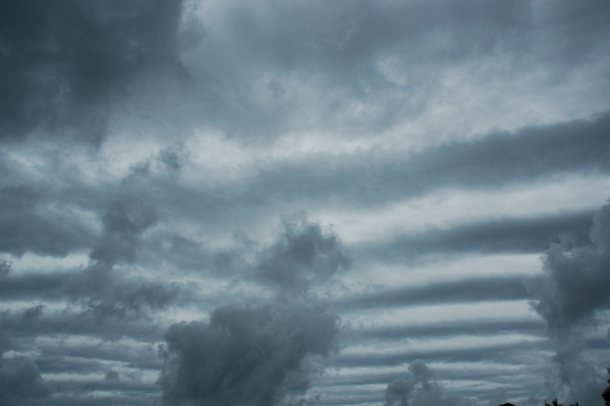 altocumulus undulatus : McLeans Ridges, NSW   2 March 2006