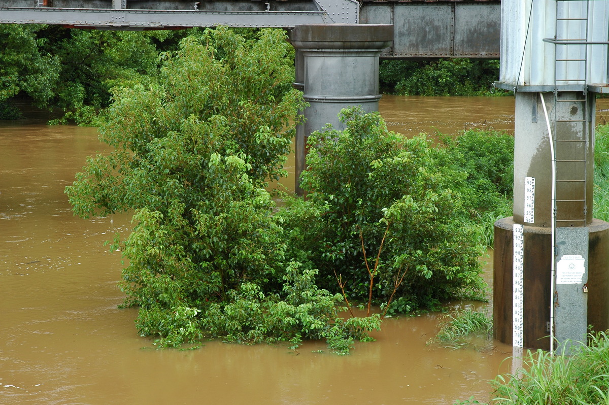 flashflooding flood_pictures : Eltham, NSW   4 March 2006