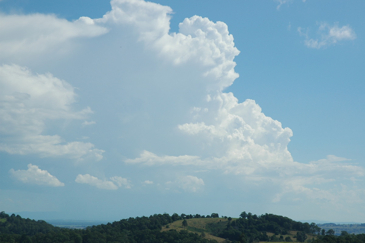 updraft thunderstorm_updrafts : Tregeagle, NSW   4 April 2006