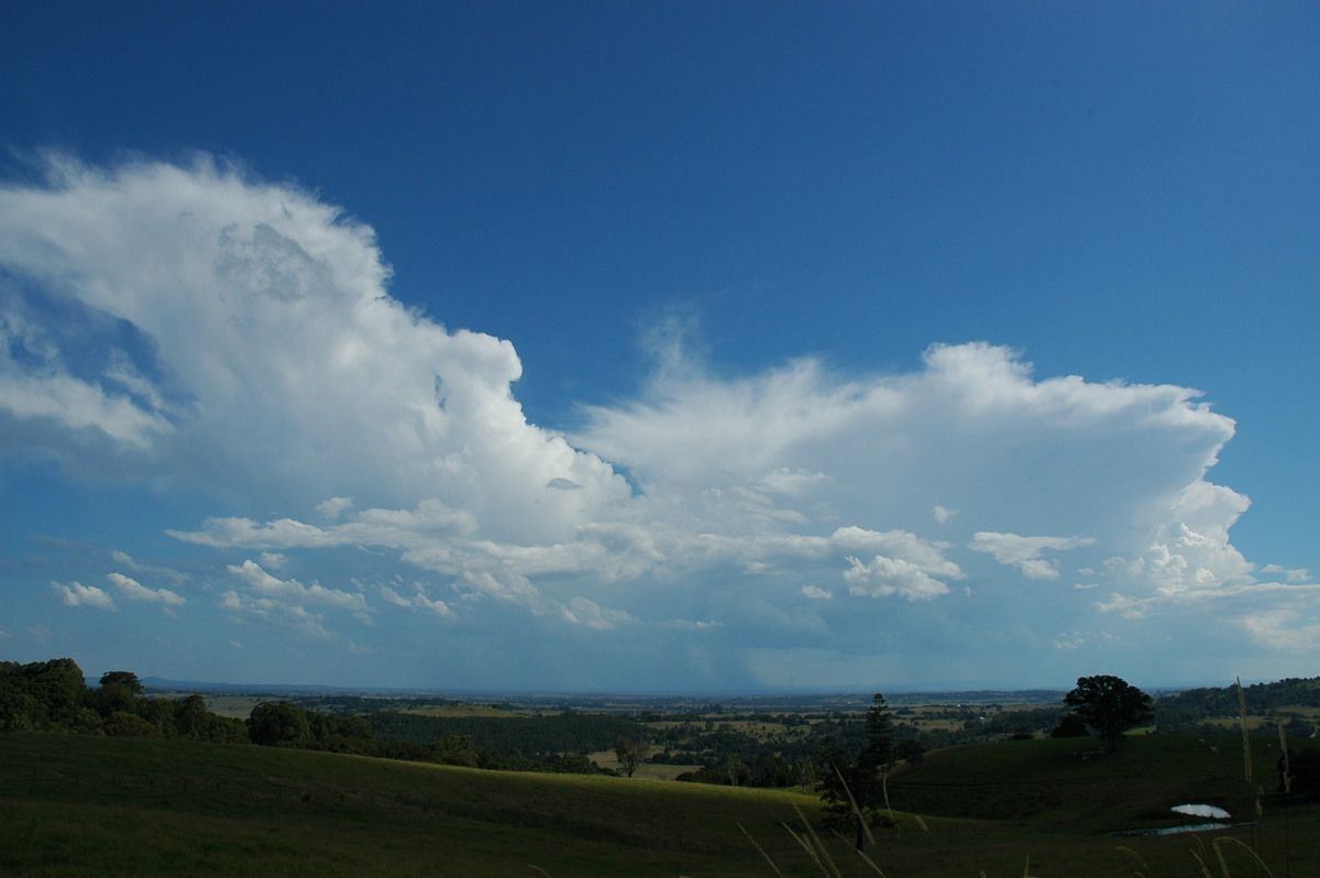 thunderstorm cumulonimbus_incus : Tregeagle, NSW   4 April 2006