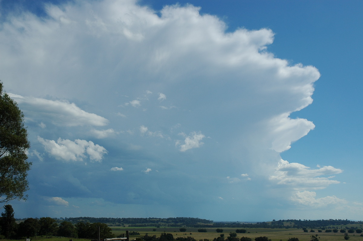 anvil thunderstorm_anvils : Tregeagle, NSW   4 April 2006