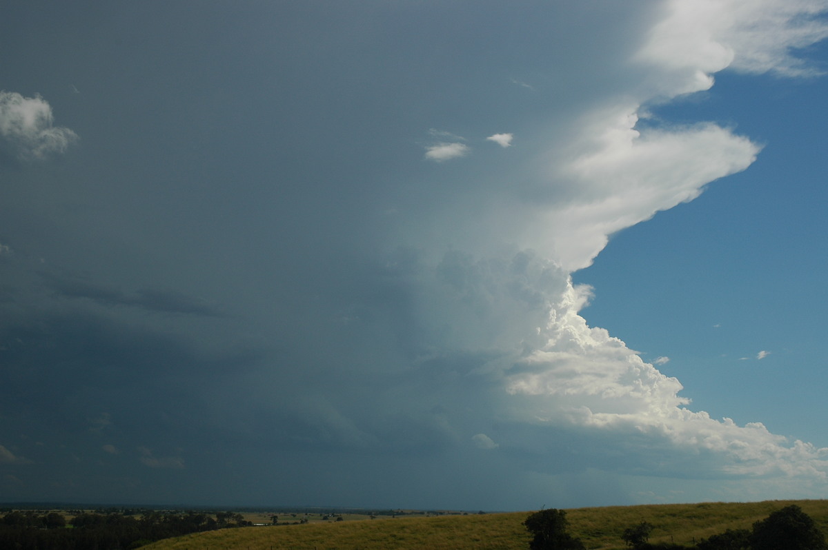 updraft thunderstorm_updrafts : Parrots Nest, NSW   4 April 2006