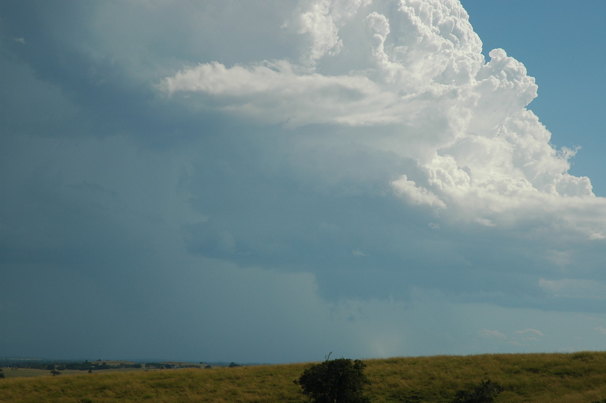 cumulonimbus thunderstorm_base : Parrots Nest, NSW   4 April 2006