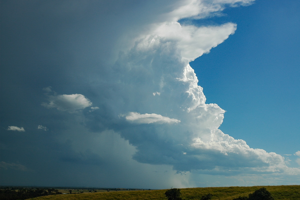 thunderstorm cumulonimbus_incus : Parrots Nest, NSW   4 April 2006