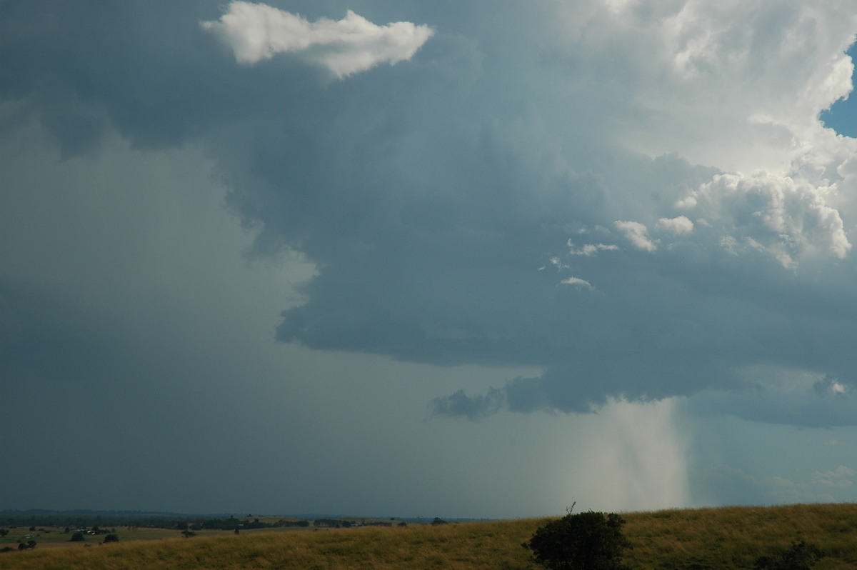 cumulonimbus thunderstorm_base : Parrots Nest, NSW   4 April 2006