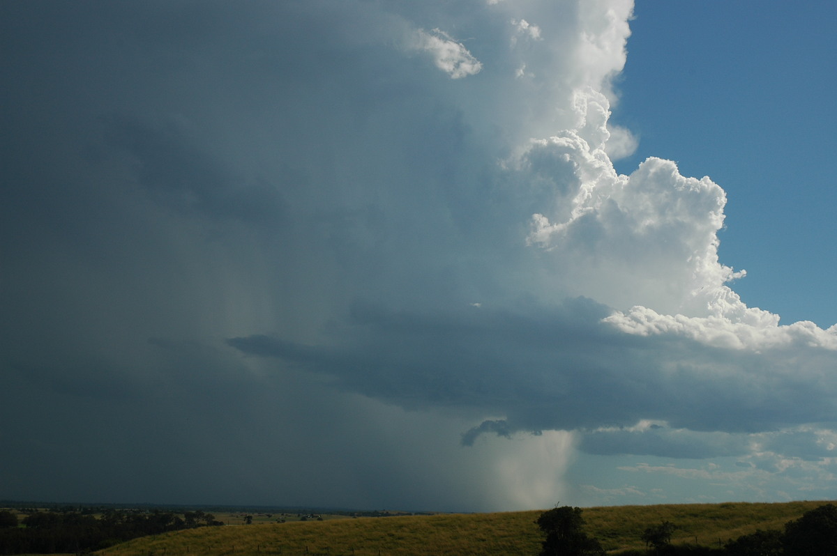 wallcloud thunderstorm_wall_cloud : Parrots Nest, NSW   4 April 2006