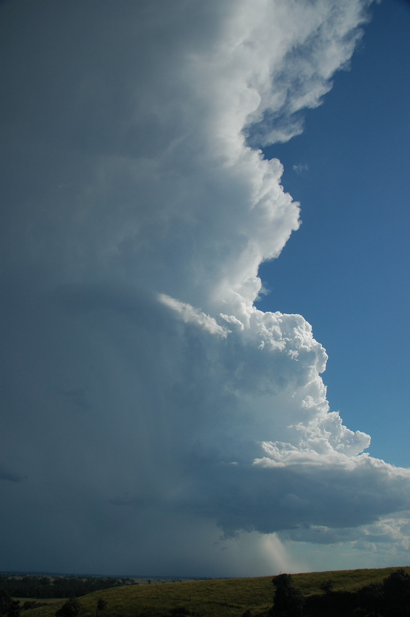 updraft thunderstorm_updrafts : Parrots Nest, NSW   4 April 2006