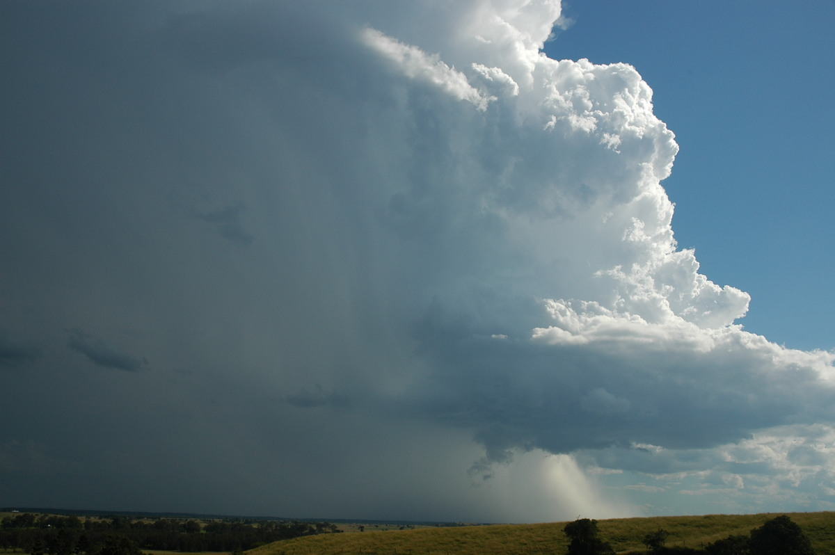 wallcloud thunderstorm_wall_cloud : Parrots Nest, NSW   4 April 2006