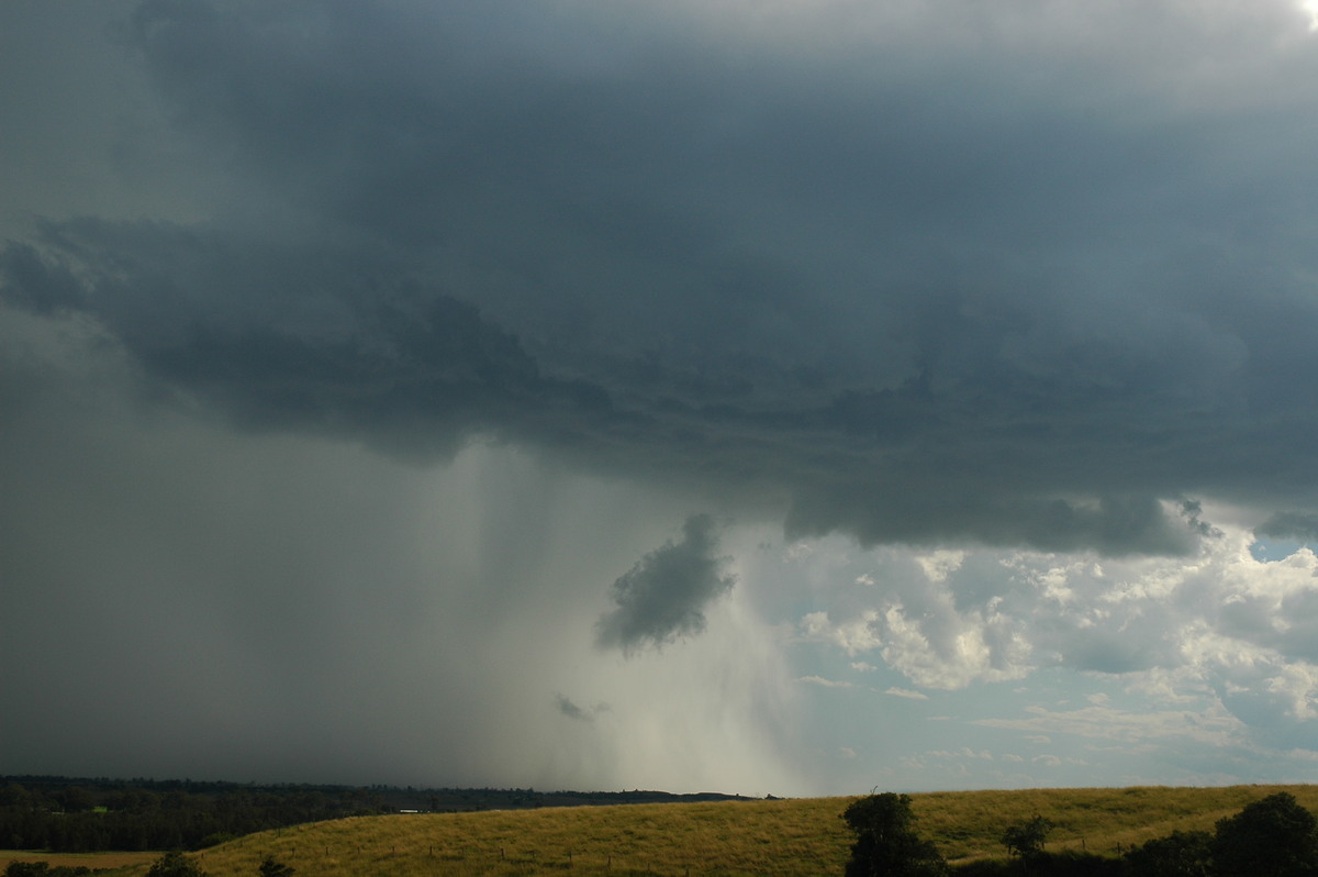 microburst micro_burst : Parrots Nest, NSW   4 April 2006