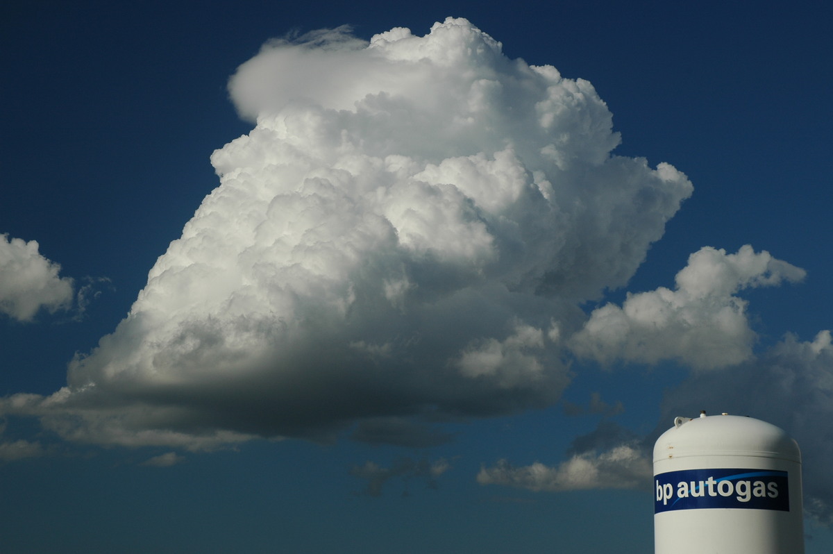 cumulus mediocris : Lismore, NSW   4 April 2006