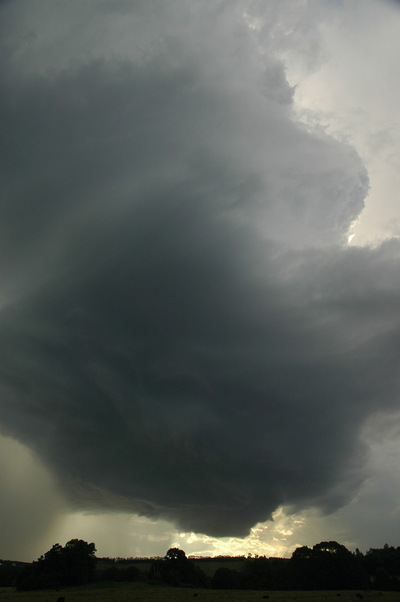 wallcloud thunderstorm_wall_cloud : Clunes, NSW   4 April 2006