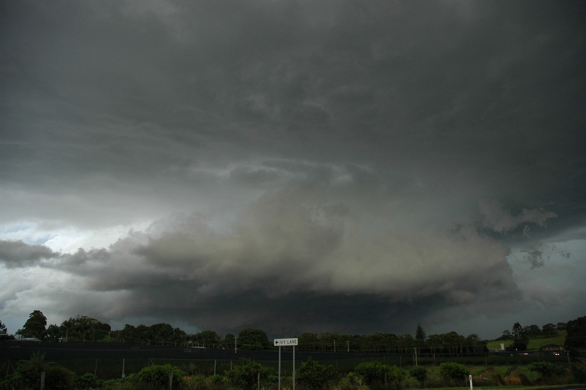 cumulonimbus thunderstorm_base : Knockrow, NSW   4 April 2006