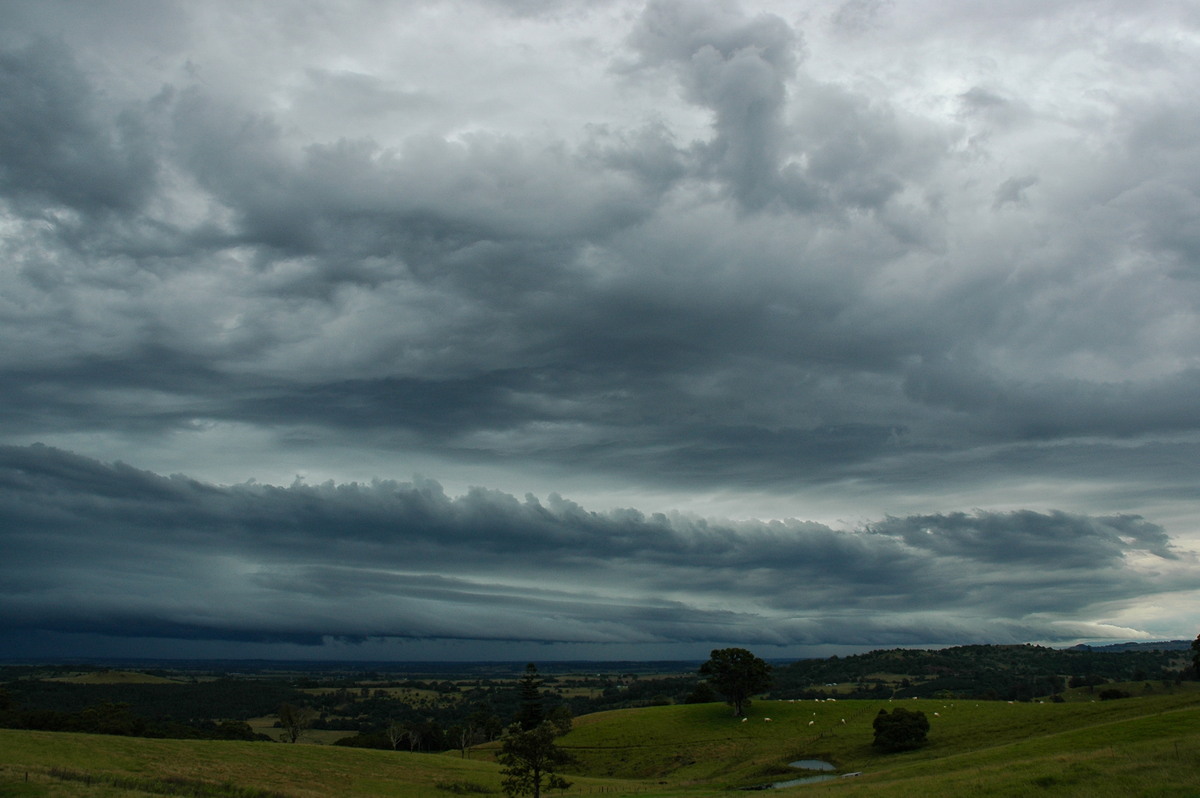 shelfcloud shelf_cloud : Tregeagle, NSW   5 April 2006