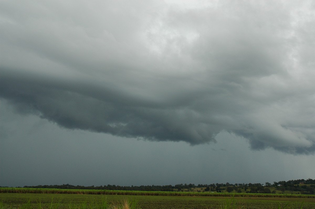 shelfcloud shelf_cloud : Tregeagle, NSW   5 April 2006