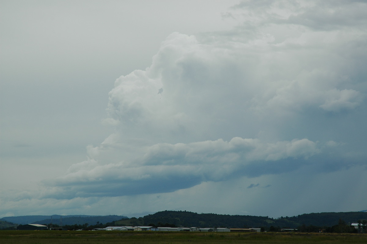 cumulus congestus : Lismore, NSW   5 April 2006