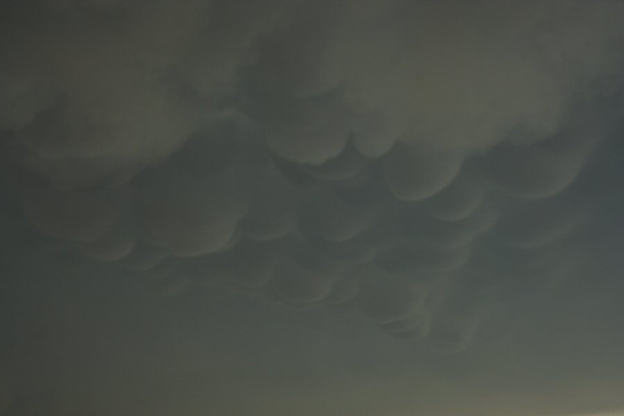 mammatus mammatus_cloud : Chillicothe, Missouri, USA   18 April 2006