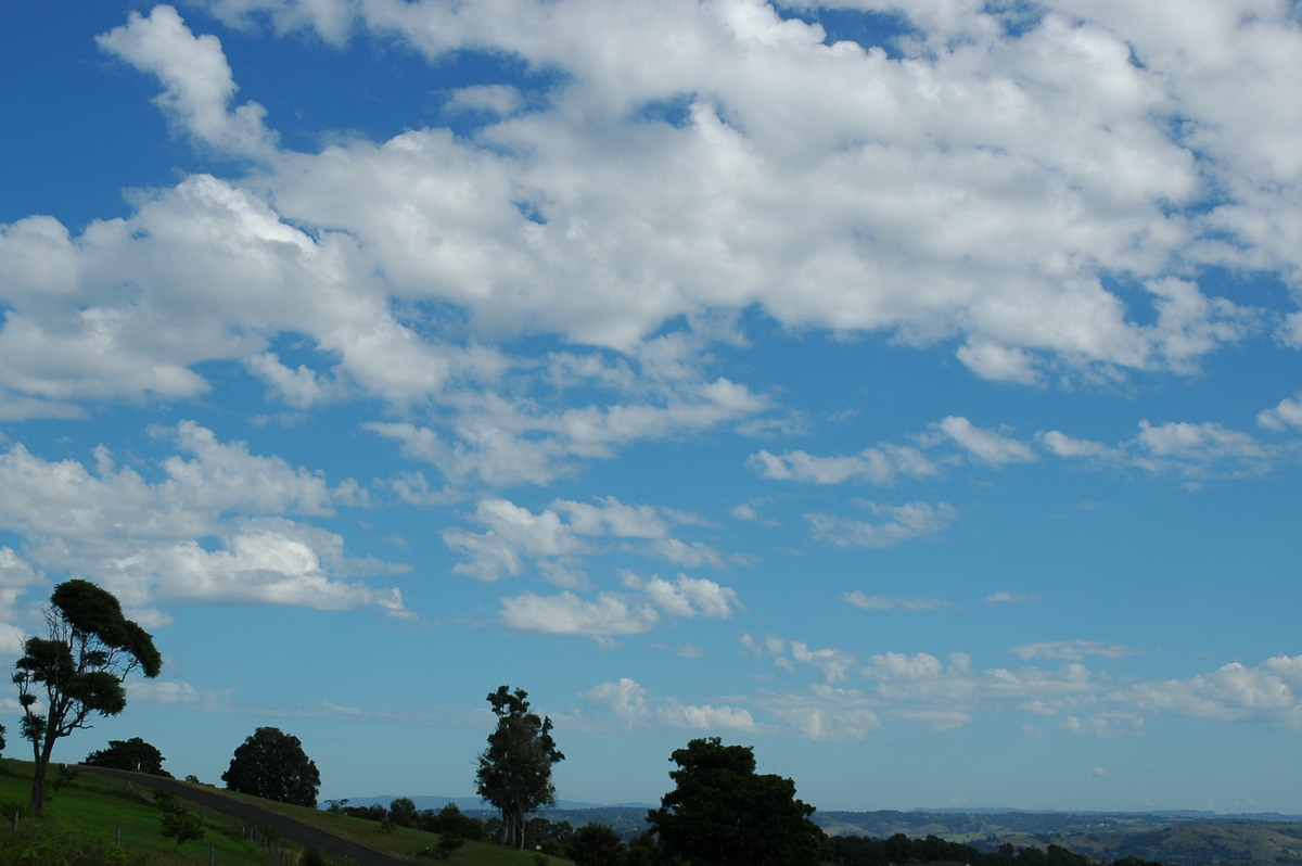 altocumulus castellanus : McLeans Ridges, NSW   21 April 2006