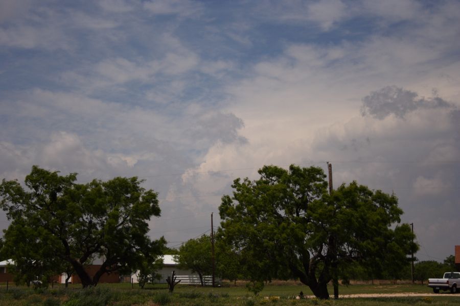 cumulus congestus : Sweetwater, Texas, USA   28 April 2006