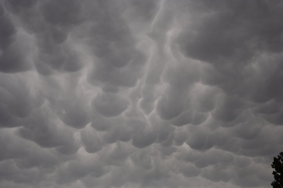 mammatus mammatus_cloud : Oklahoma City, Oklahoma, USA   1 May 2006