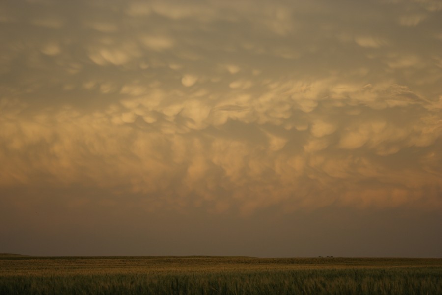 mammatus mammatus_cloud : SW of Childress, Texas, USA   2 May 2006