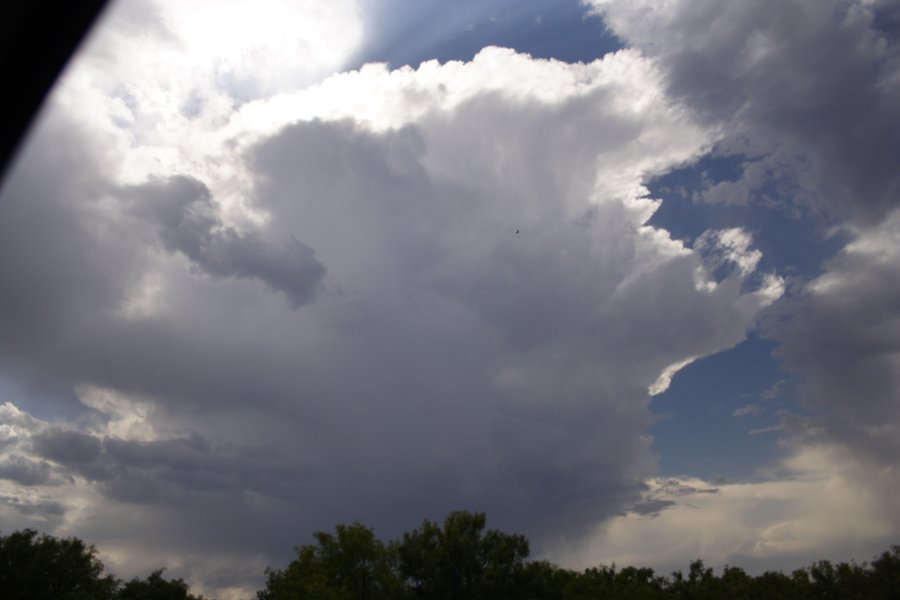 thunderstorm cumulonimbus_incus : Matador, Texas, USA   3 May 2006