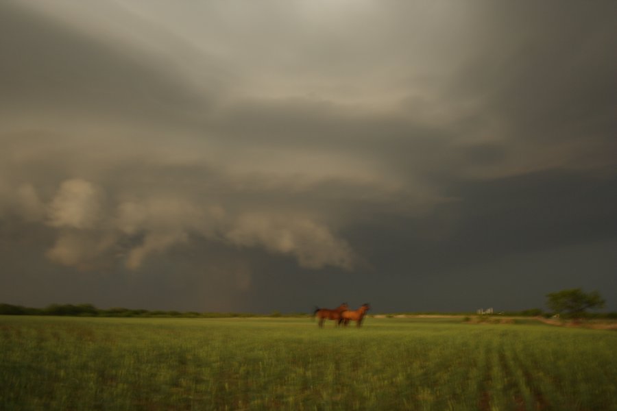 cumulonimbus thunderstorm_base : Jayton, Texas, USA   3 May 2006