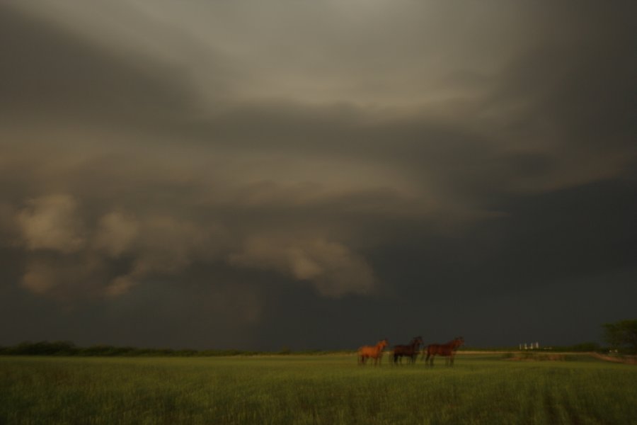 shelfcloud shelf_cloud : Jayton, Texas, USA   3 May 2006