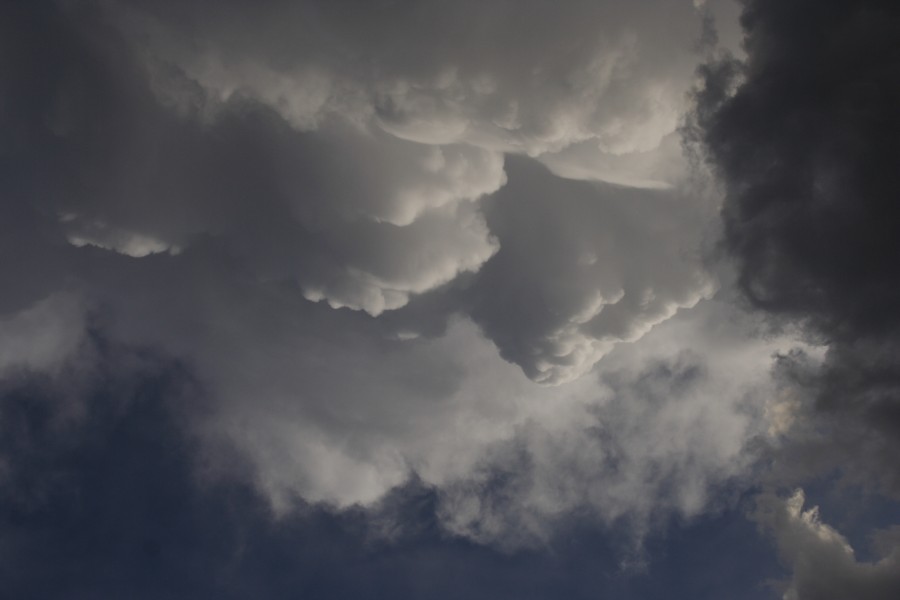 mammatus mammatus_cloud : Patricia, Texas, USA   5 May 2006