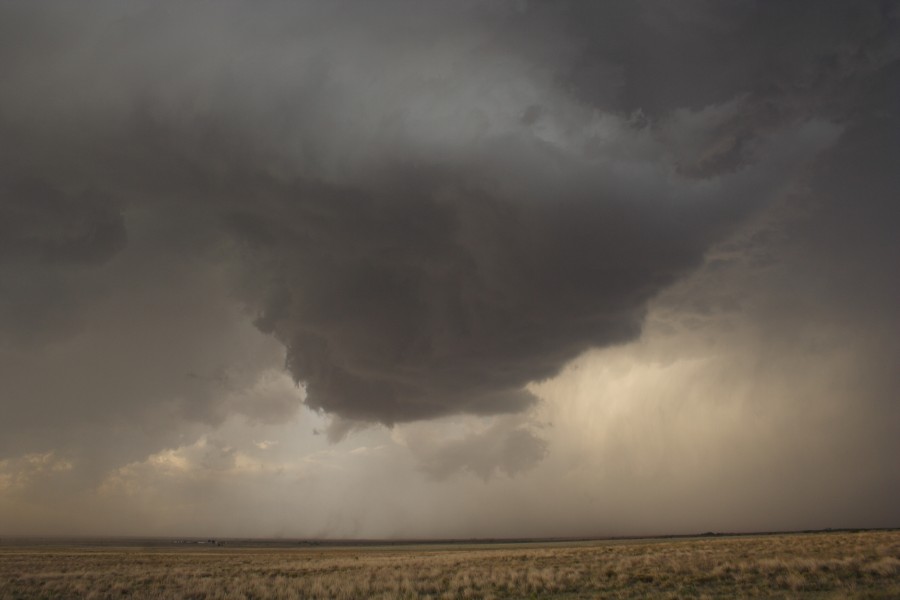 cumulonimbus thunderstorm_base : Patricia, Texas, USA   5 May 2006