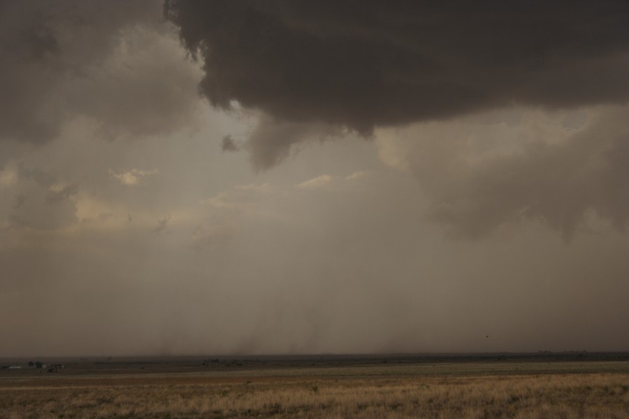 wallcloud thunderstorm_wall_cloud : Patricia, Texas, USA   5 May 2006