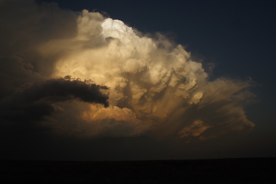 favourites jimmy_deguara : near Patricia, Texas, USA   5 May 2006