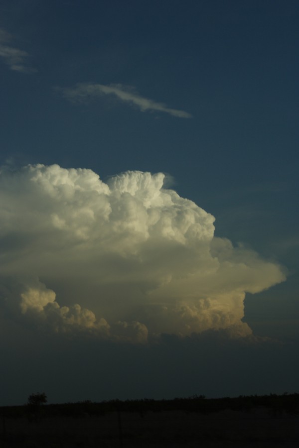 thunderstorm cumulonimbus_incus : S of Lamesa, Texas, USA   7 May 2006