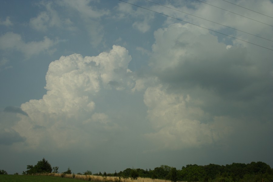 thunderstorm cumulonimbus_calvus : McAlester, Oklahoma, USA   9 May 2006