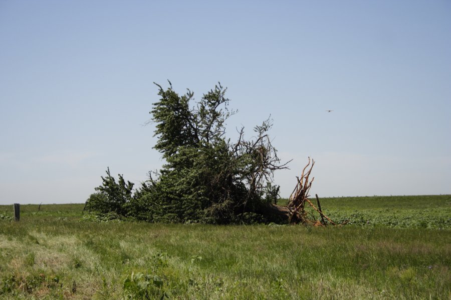 disasters storm_damage : Westminster, Texas, USA   12 May 2006