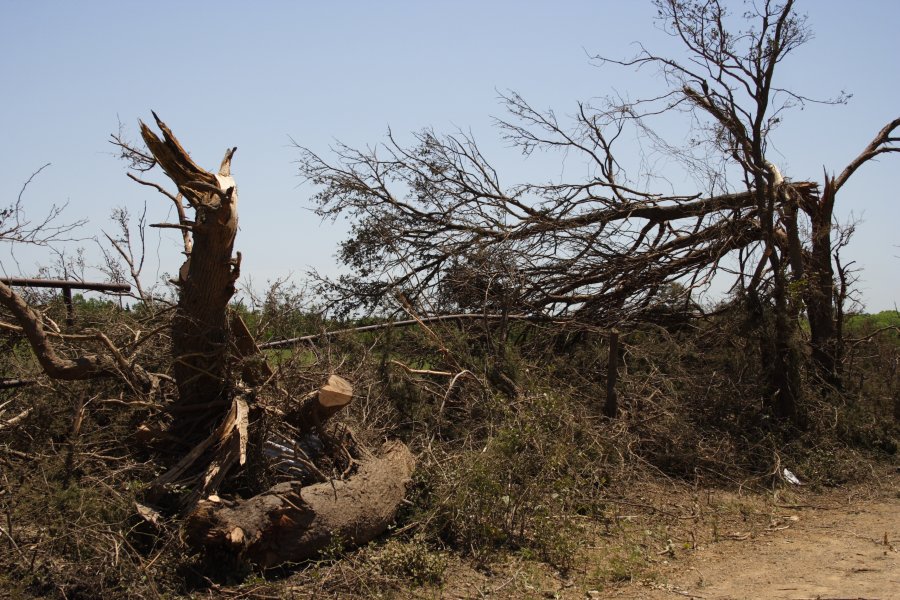 disasters storm_damage : Westminster, Texas, USA   12 May 2006