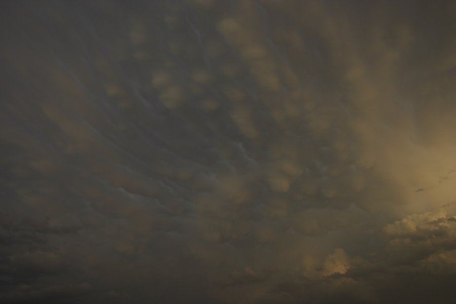 mammatus mammatus_cloud : Del Rio, Texas, USA   14 May 2006