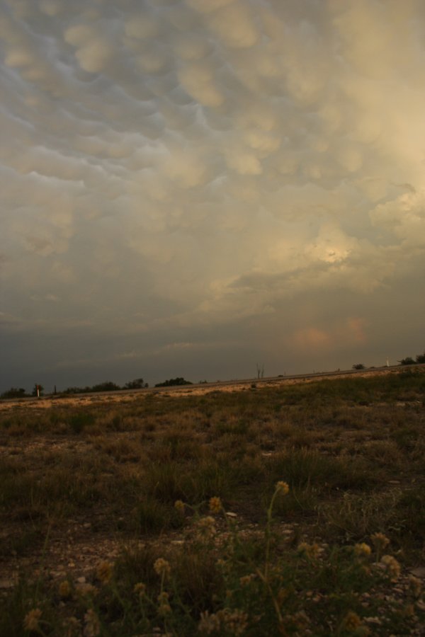 mammatus mammatus_cloud : Del Rio, Texas, USA   14 May 2006