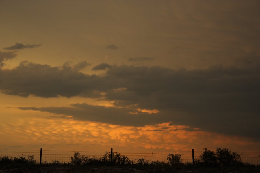 mammatus mammatus_cloud : Del Rio, Texas, USA   14 May 2006