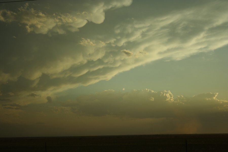 cumulus mediocris : N of Stinnett, Texas, USA   21 May 2006