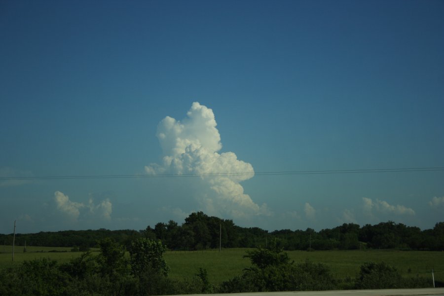 thunderstorm cumulonimbus_calvus : Kansas City, Kansas-Missouri border, USA   24 May 2006