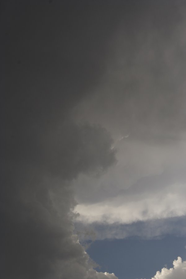 anvil thunderstorm_anvils : E of Woodward, Oklahoma, USA   25 May 2006