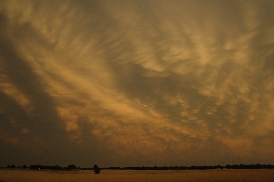 mammatus mammatus_cloud : SE of Kinsley, Kansas, USA   29 May 2006