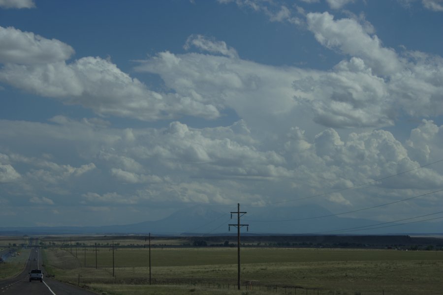 cumulus mediocris : Pueblo, Colorado, USA   1 June 2006