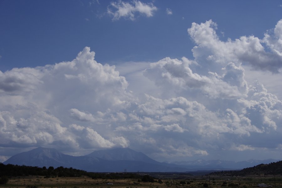 cumulus congestus : Pueblo, Colorado, USA   1 June 2006