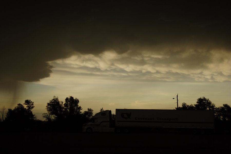 mammatus mammatus_cloud : Kit Carson, Colorado, USA   5 June 2006